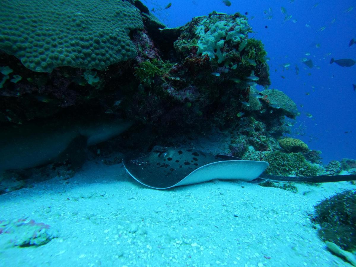 Coral Beach Maldives Hangnaameedhoo Luaran gambar